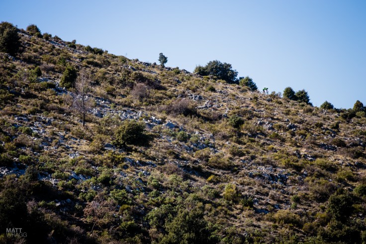 Descents were worth the sufferfest