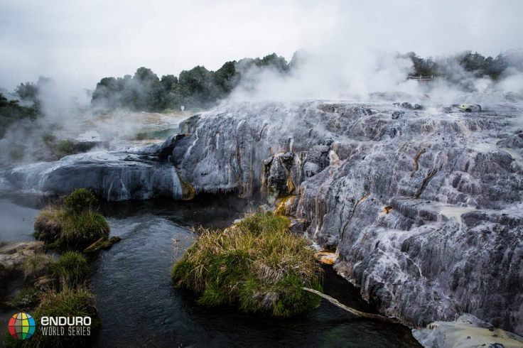 11078068_600647926738906_7002083653410615025_o